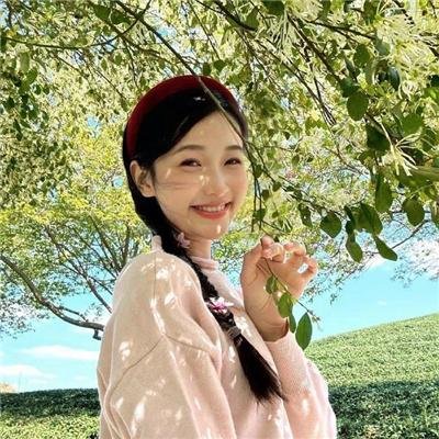 戆子记